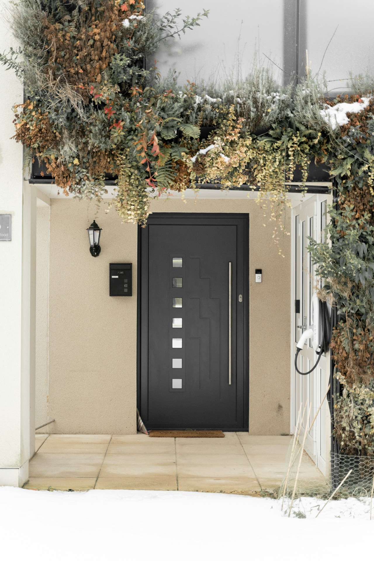 porte en bois noir près d'une plante verte