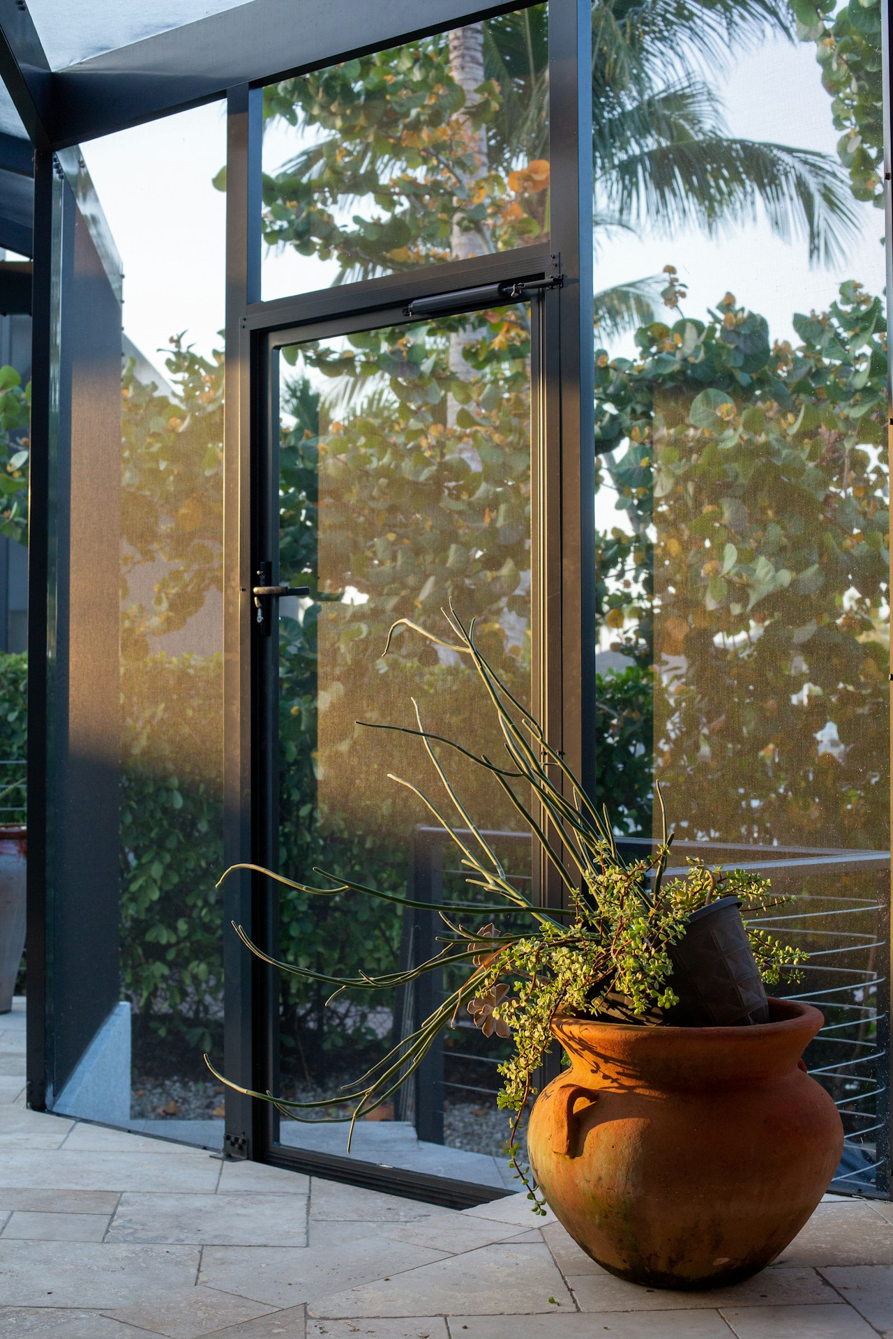 Un grand vase avec une plante